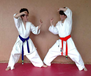 Campeonato infantil de kárate en Alhama