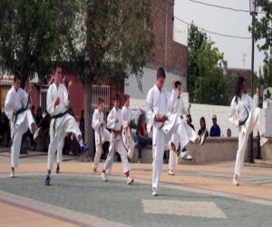 Exhibición de kárate en Játar