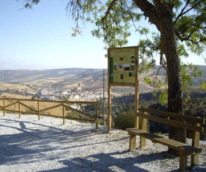 El pasotismo de los habitantes de Alhama