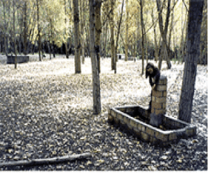 Acondicinamiento de la zona del Motor