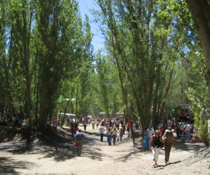 Cuatrocientos euros en multas a tres carrozas de la Romería 2010