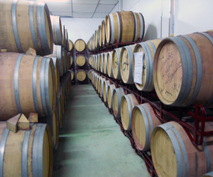 Vinícola Alhameña invita a los empresarios y grupos para que conozcan su bodega