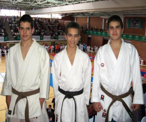 Convocatoria andaluza de kárate