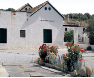 La calidad del aceite de Almazara Ángela de Jayena  ha recibido diez galardones desde 2005