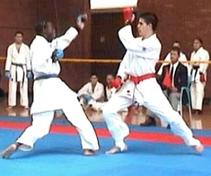 Buenos resultados para el kárate y no tanto para el full contact este fin de semana