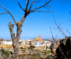 Alhama tendrá presencia en FITUR