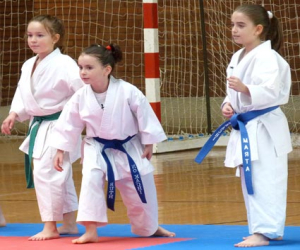 El karate granadino engrasa la maquinaria