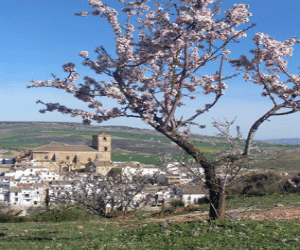 Regreso a mi pasado, por Francisco Velasco