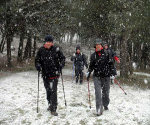 Cientos de pasos a través de la nieve