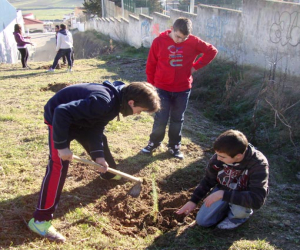Plantación de árboles de los alumnos del IES en colaboración con el Ayuntamiento de Alhama