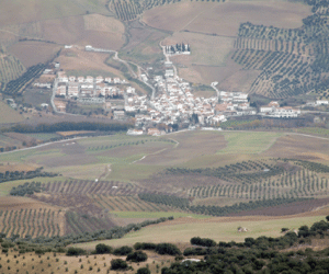 La adaptación parcial del PGOU de Santa Cruz del Comercio a la Ley urbanística andaluza permite liberar suelo para 24 VPO