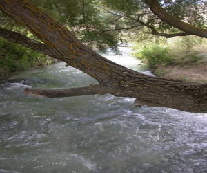 Protesta en El Turro