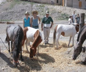 Feria de junio, una semana de actividades