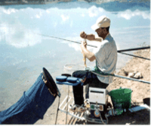 Medio Ambiente prorroga la prohibición de pesca en los Bermejales