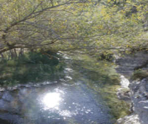 Abierto el plazo para el certamen literario de Alhama
