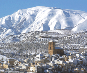 Tratamientos selvícolas