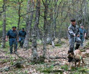 Identifican a un pastor que sembró de veneno los alrededores de Zafarraya para proteger a su rebaño