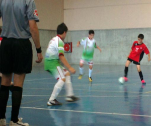 Los Alevines de fútbol sala de la escuela municipal acabaron la temporada