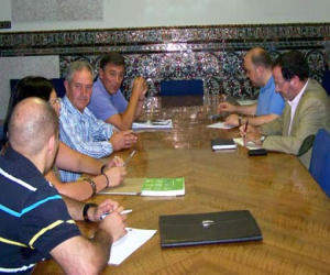 Cultura aconseja al Ayuntamiento de Alhama hacer un Plan Especial para la Joya