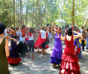 Todo listo para la romería del vino, 2005