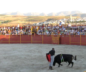 El novillero Cristian Romero triunfador en el festival taurino mixto de la feria de septiembre de Alhama