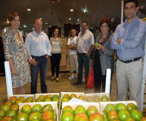 Los productores de tomates de Zafarraya piden ayuda a la Junta tras una campaña "ruinosa"