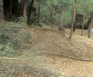 Talleres de empleo en Játar y Santa Cruz del Comercio