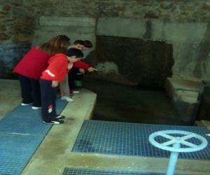 El alumnado de 3º y 4º de primaria del colegio Conde de Tendilla aprende sobre el ciclo del agua