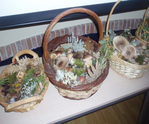 Las jornadas micológicas de Fornes y Jayena aúnan cultura, salidas al entorno  y gastronomía