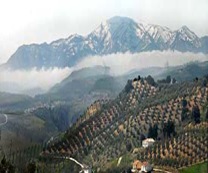 Los ecologistas castigan la gestión del Parque de la Sierra de Tejada 
