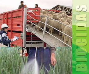 Información de interés para ganaderos, cazadores y caballistas