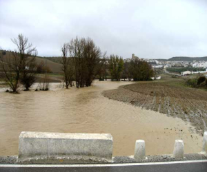 La Confederación HG invierte 1,5 millones para mejorar cauces de los ríos de Granada, entre ellos el de Alhama