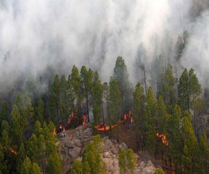 Ayudas para la prevención y control de los incendios forestales