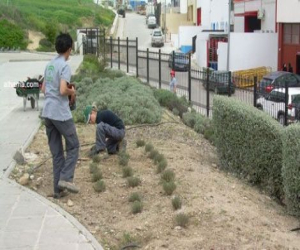 Sabemos trabajar