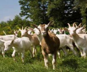 Ayuntamiento y UTEDLT se unen para ofrecer información sobre agricultura ecológica