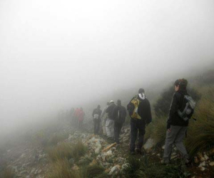 Compañeros, entre la niebla