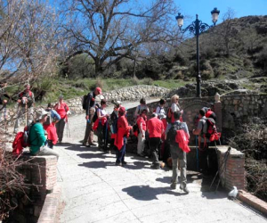 Entre dehesas y bosques
