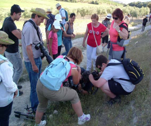 La fotografía, protagonista de la X Jornada Ornitológica