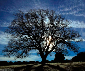 Caminando con la luna. Ruta nocturna