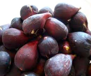 Las brevas de Esperanza