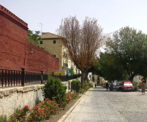 Grafiosis, crónica de una muerte anunciada