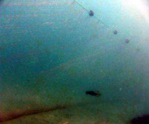 El municipio de Jayena conmocionado por la muerte de su vecino Fernando M.F., al quedar atrapado en una red de pesca