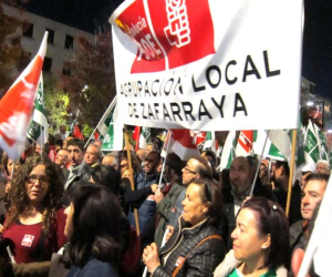 Poca incidencia de la huelga del 14N en Alhama y espectacular manifestación en Granada