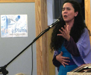Recital de flamenco y poesía; “Velo y Pluma”