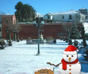 Nota de agradecimiento y felicitación de 2013 de la Escuela de Música de Alhama