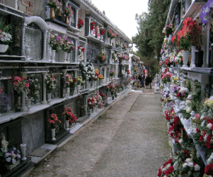 Festividad de Todos los Santos 2005