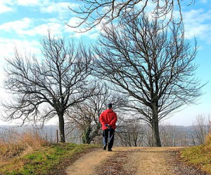 Divagaciones primaverales de un paseante ingenuo