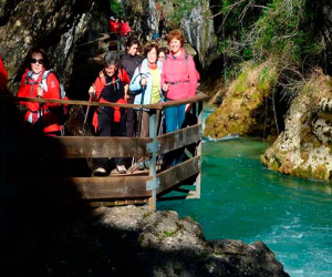 La naturaleza en estado puro