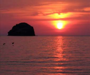 Libertad y necesidad