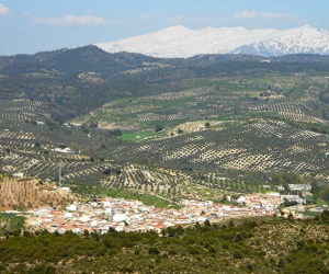 Jayena es después de Cacín el municipio de la Comarca de Alhama  que más habitantes ha perdido en la última década